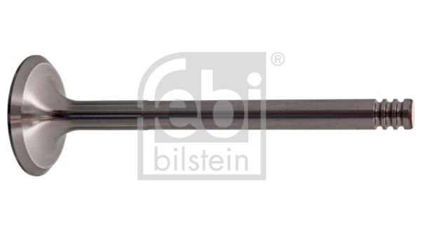 Intake Valve